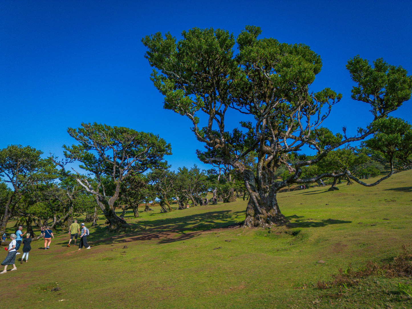 West Tour - Madeira Tours