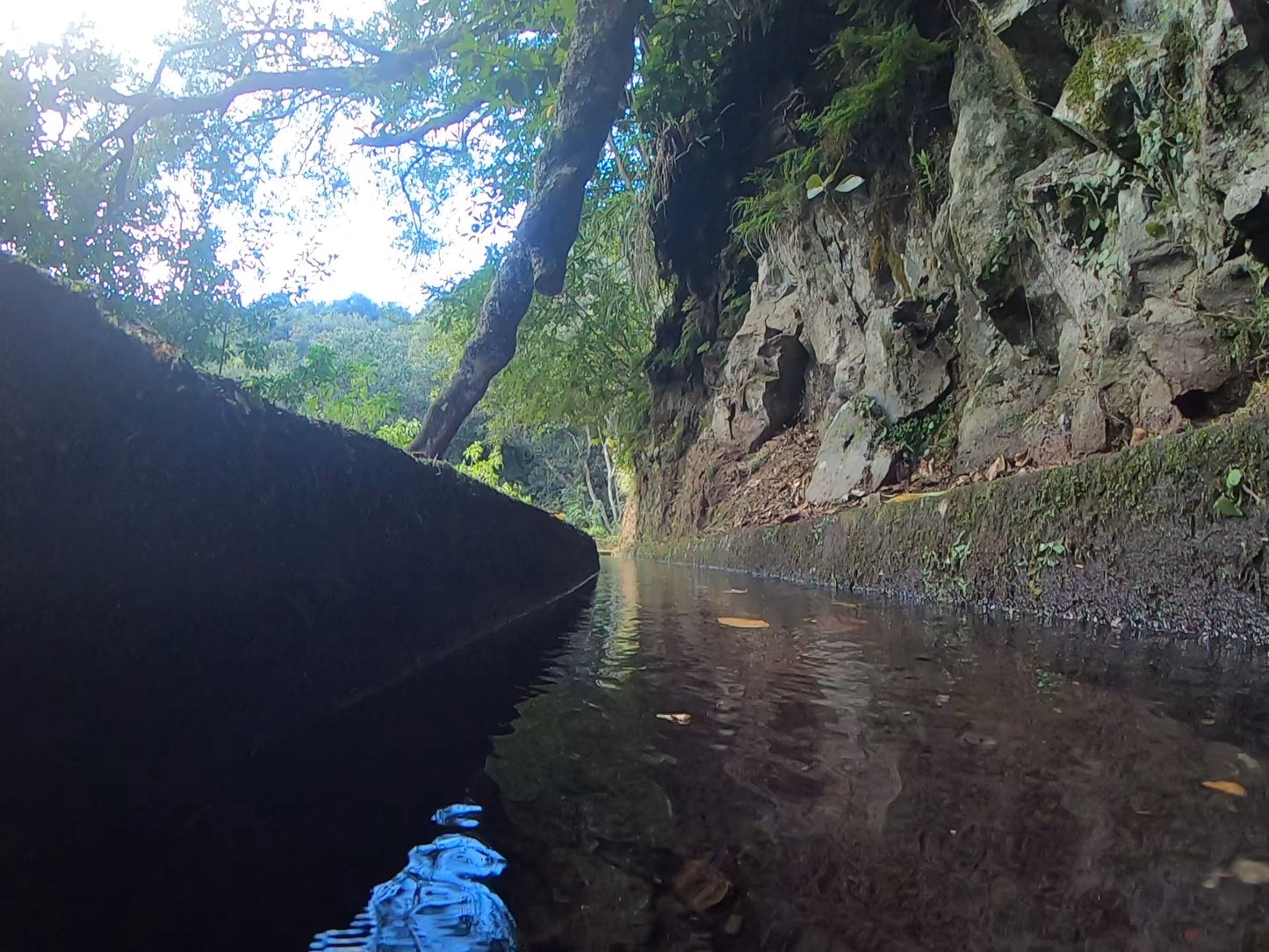 Levada do Rei