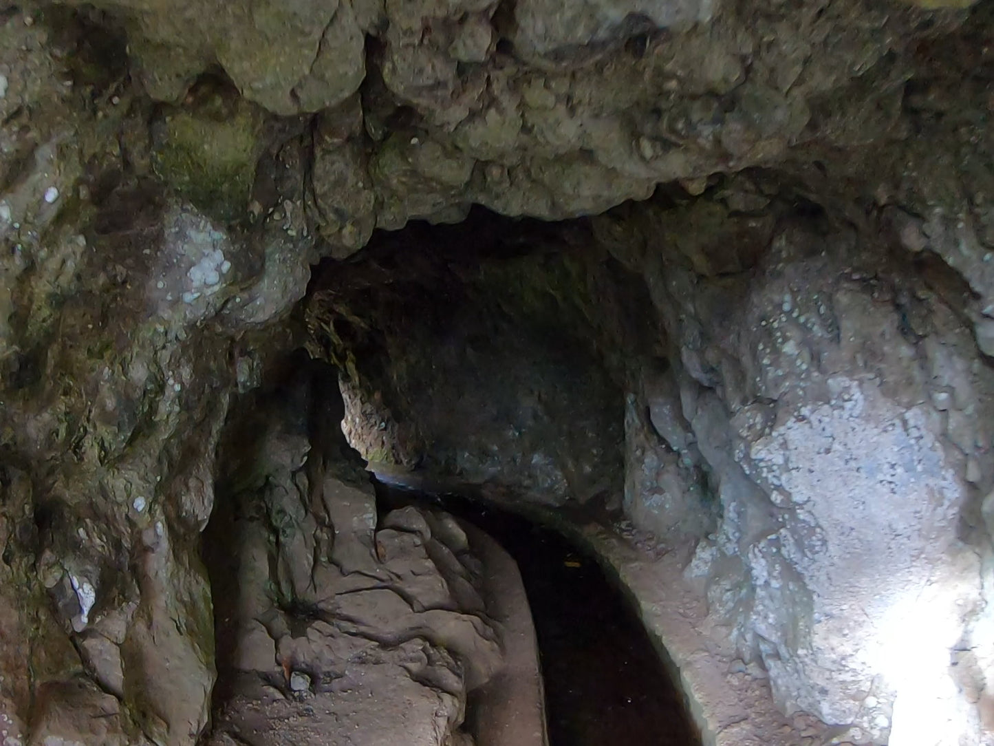 Levada do Rei