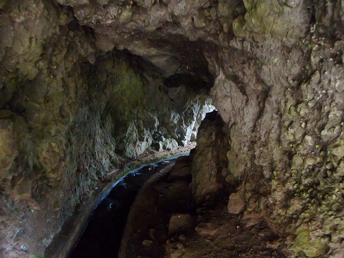 Levada do Rei