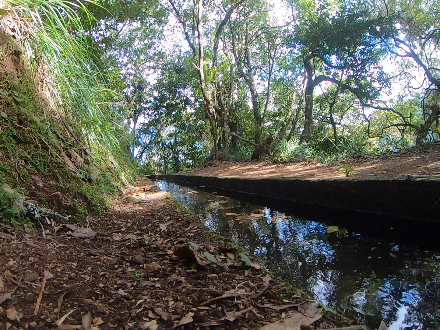 Levada do Rei
