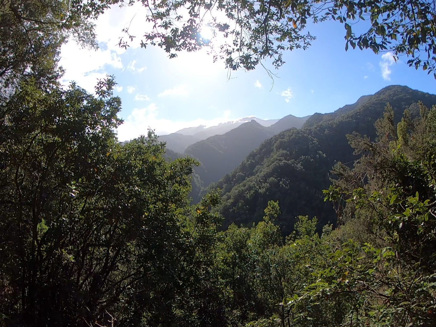 Levada do Rei