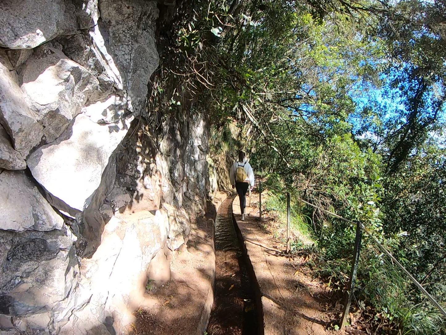 Levada do Rei