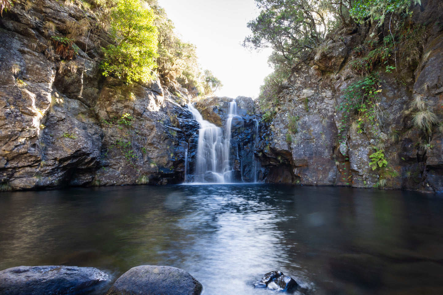 Sunrise Experience + Levada do Alecrim - Madeira Tours