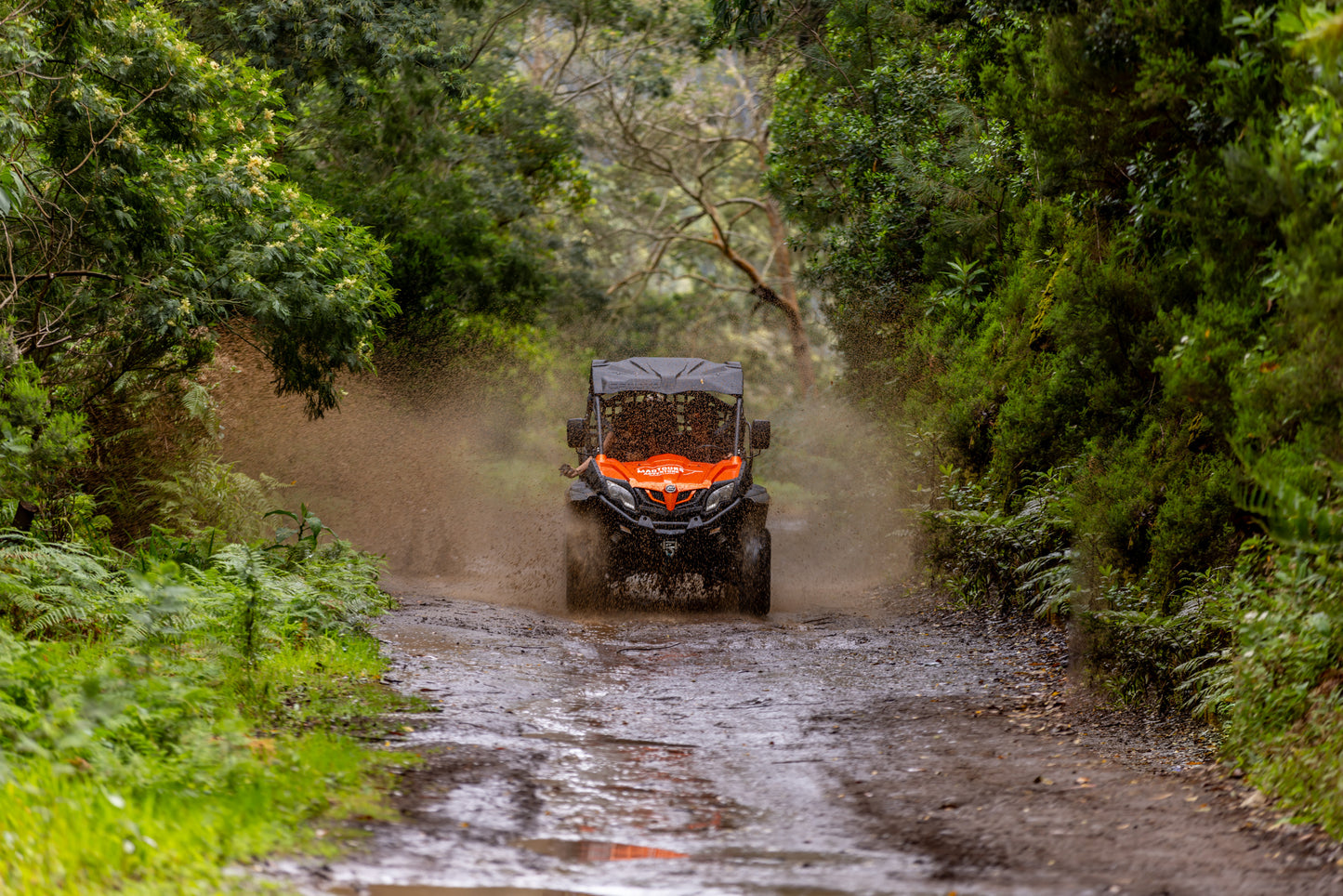 Tour en Buggy por Funduras