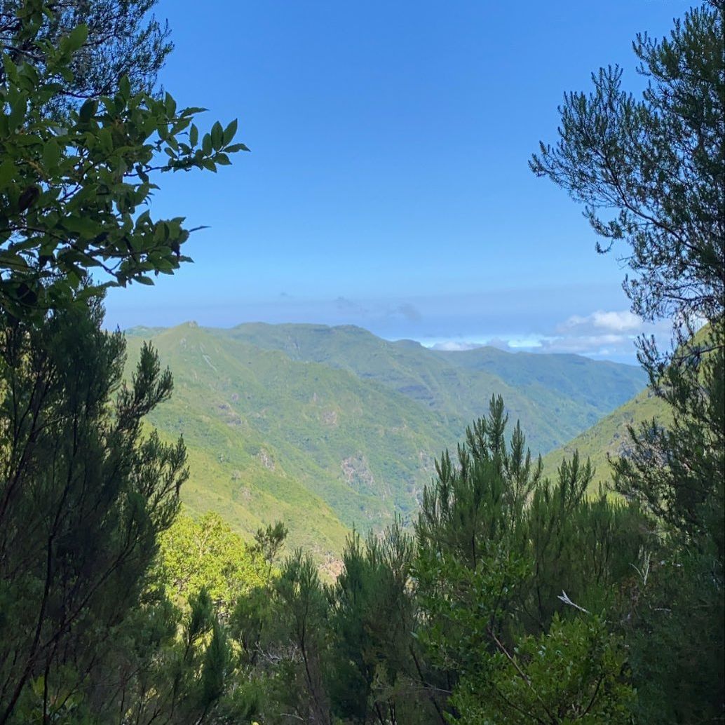 Sunrise Experience + Levada do Alecrim - Madeira Tours