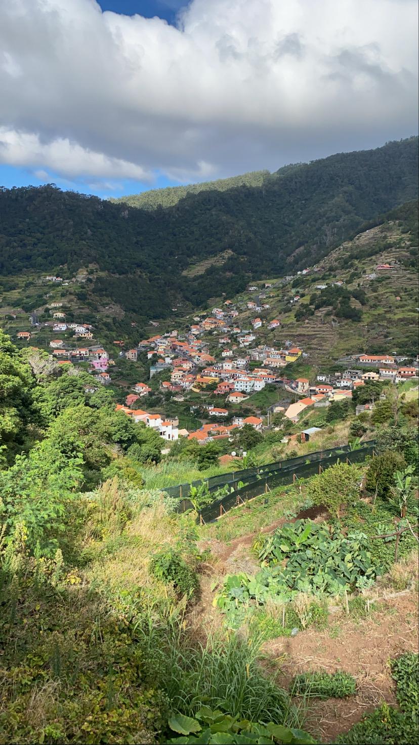 Maroços - Mimosa Valley