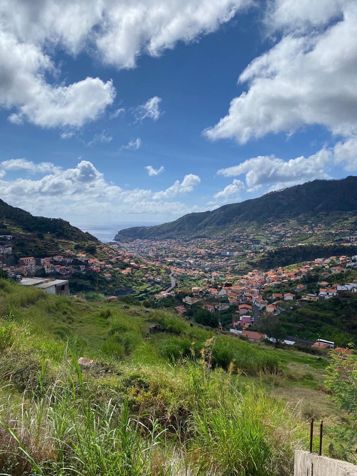 Maroços - Mimosa Valley