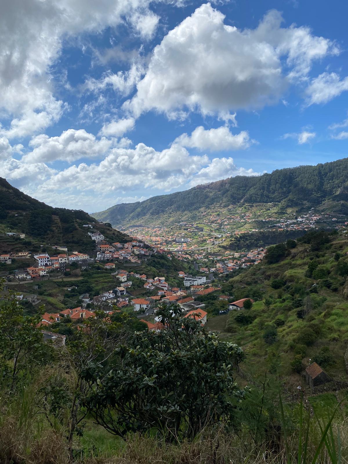 Maroços - Mimosa Valley