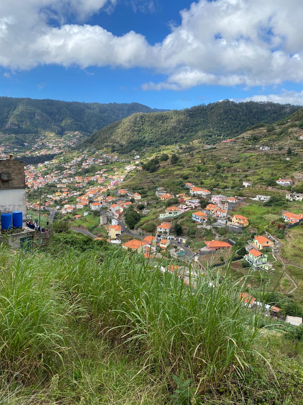 Maroços - Mimosa Valley