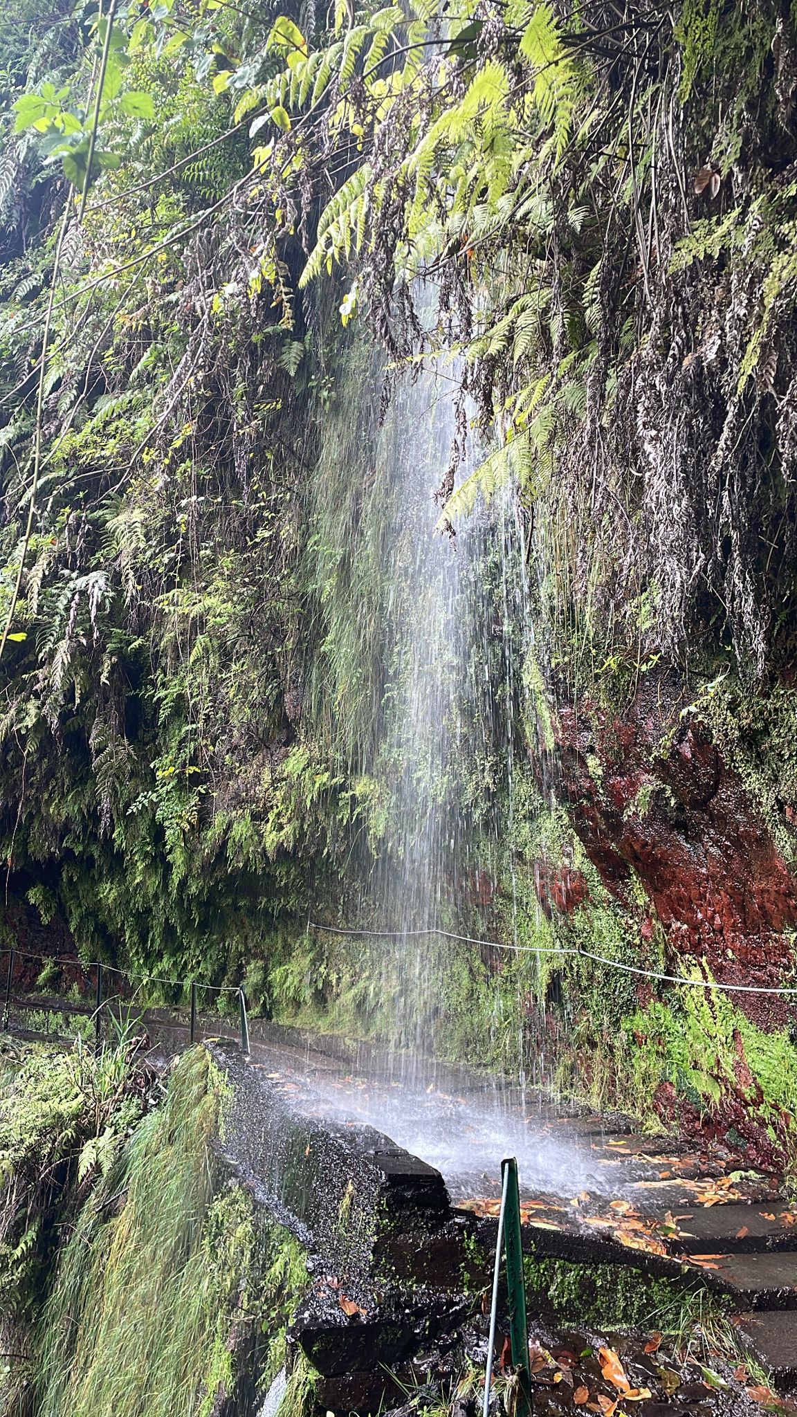 Levada do Rei