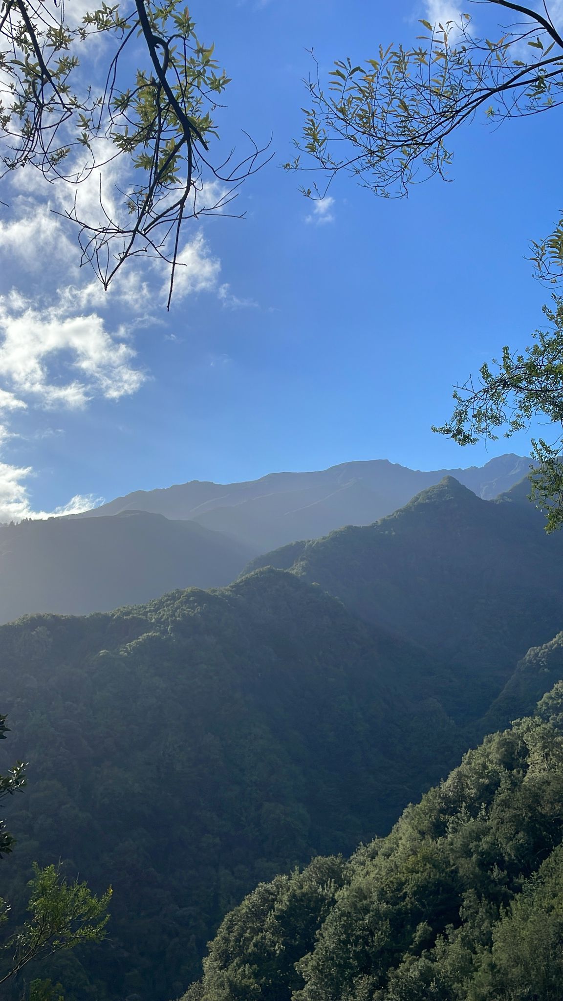 Levada do Rei